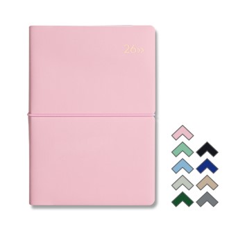 2026 DV PRO1 ���� 32�� ���̾