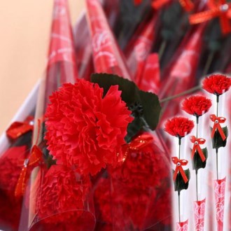 �Ѽ��� ī���̼� ����̳� �����ǳ�