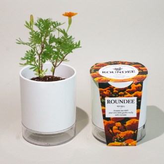 ���� ȭ�� ����-�޸����