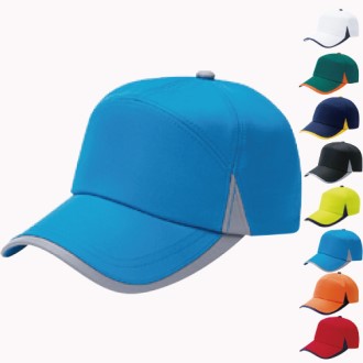 C2-NS ���� ĸ����