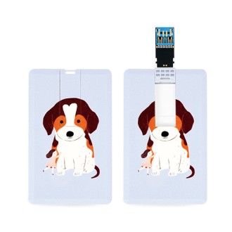 �������丮�� ī���� USB 3.0 �޸� 64GB