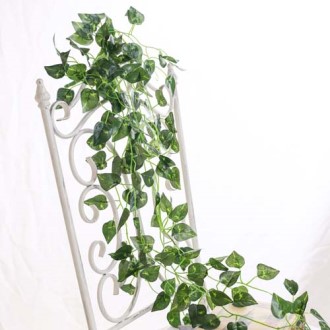 ������ ������ ���� (90cm) / ���׸��� ��ȭ���