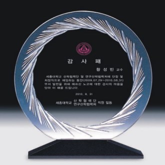 ũ����Ż ���� 334