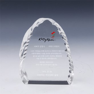 [Ʈ����] ũ����Ż ���� TR89 ���� ������ ������