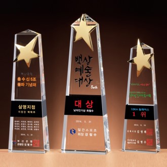 ũ����Ż ���� SAM24P025