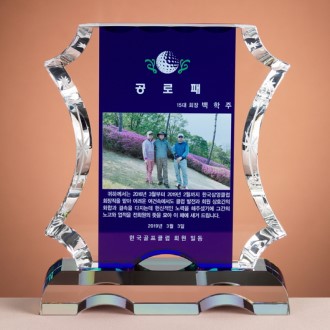 ũ����Ż ���� SAM24P031