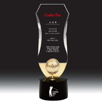 Ʈ���� DH 06