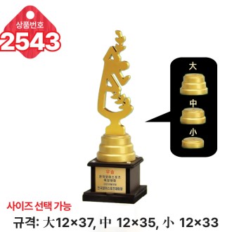  �Ϲ� ���� Ʈ���� 2543