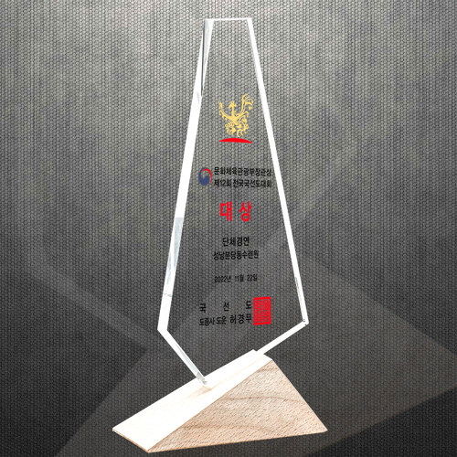 ���� ��������� ������ DS12-20-1